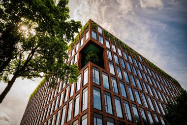 Modern ofis binasının pencereleri. İş konsepti