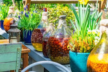 Mayalanmış böğürtlenli eski cam şişe. Avrupa 'da kırsal şarap üretimi