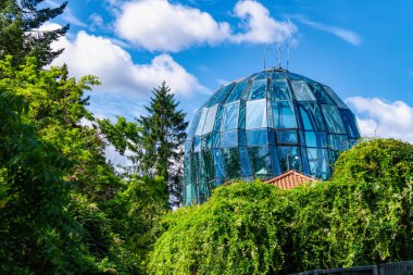 Oliwa bahçesinde cam palmiyeler, Gdansk