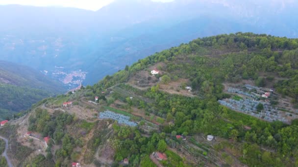 Αιχμαλωτίζοντας Αεροφωτογραφία Των Κατάφυτων Βουνών — Αρχείο Βίντεο