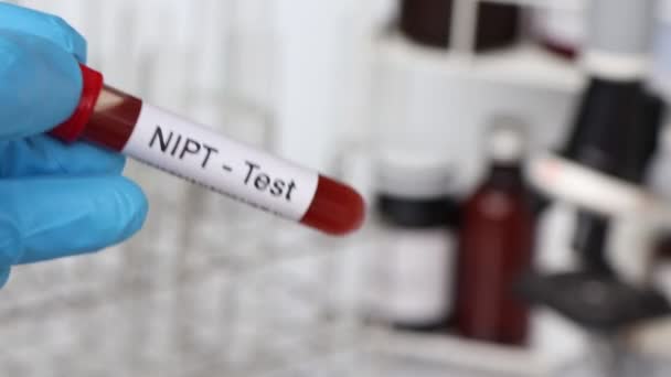 Тест Нипт Наличие Отклонений Крови Образец Крови Анализа Лаборатории Кровь — стоковое видео