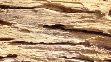 Ahşap arka plan ve doku, eski ahşap desen, ham madde.