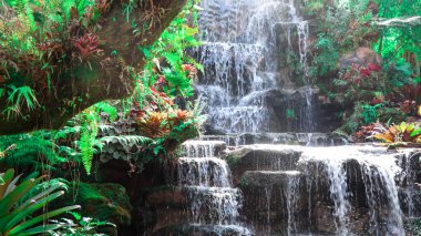 Şelale deresi ve yeşil orman, orman akıntısı, soğuk dere akıntısı.