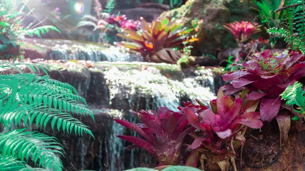 Şelale deresi ve yeşil orman, orman akıntısı, soğuk dere akıntısı.