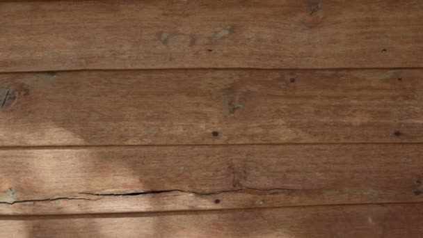 Wood Background Texture Old Wood Pattern Wood Raw Material — Stock Video