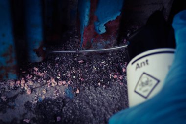 Spray chemicals to kill ant in the house, chemical kill ant product