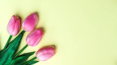 Dekorasyon için plastik çiçek, arka planda çiçekler ve boş alan