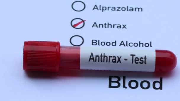 Anthrax Test Look Abnormalities Blood Blood Sample Analyze Laboratory Blood — Stock Video