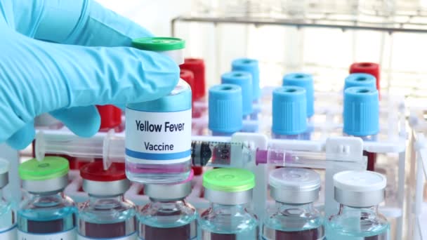 Vacuna Contra Fiebre Amarilla Vial Inmunización Tratamiento Infección Vacuna Utilizada — Vídeo de stock