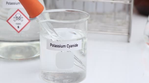 Solución Cianuro Potasio Productos Químicos Peligrosos Símbolos Contenedores Productos Químicos — Vídeos de Stock