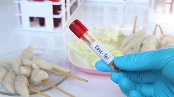 Borax Test Livsmedelsprov Att Analysera Laboratoriet Livsmedel Provrör — Stockvideo