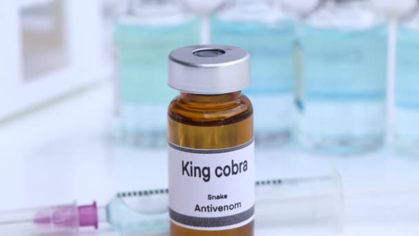 King Cobra Snake Antivenoms Vial Serum Injection Prevenom Snake Bites — Stok Video