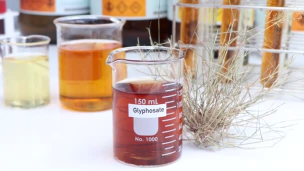 유리에 글리포세이트 제초제는 실험실 실험에 잡초를 처리하기 위하여 이용됩니다 — 비디오