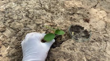 Çevre, bilim ve doğa için deneyler ve koruma