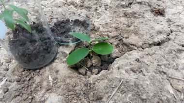 Çevre, bilim ve doğa için deneyler ve koruma