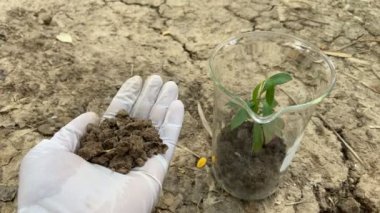 Çevre, bilim ve doğa için deneyler ve koruma