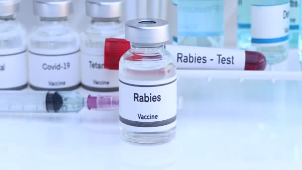 Vacina Rábica Frasco Para Injetáveis Imunização Tratamento Infecção Experimento Científico — Vídeo de Stock