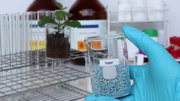 Kopermeststof Experimenteren Met Chemische Meststoffen Voor Landbouw Wetenschappelijk Experiment — Stockvideo
