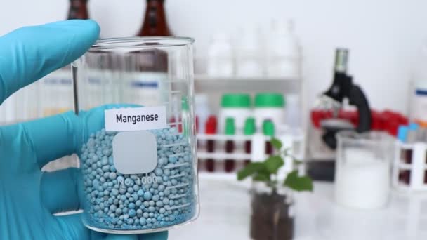 Manganez Gübresi Tarım Için Kimyasal Gübrelerle Deney Bilimsel Deney — Stok video