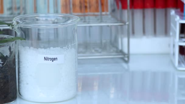 Adubo Nitrogenado Experimentando Com Fertilizantes Químicos Para Agricultura Experimento Científico — Vídeo de Stock