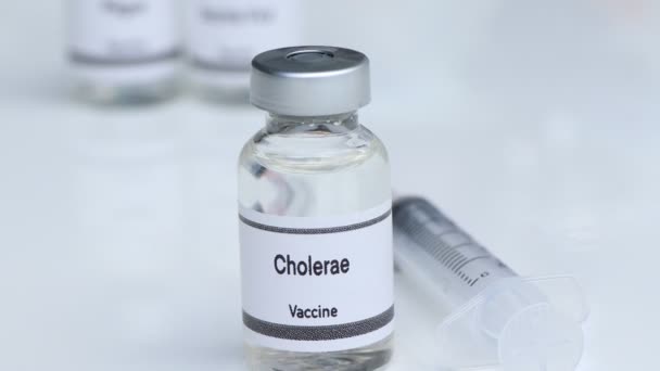 Vacina Cholerae Frasco Para Injetáveis Imunização Tratamento Infecção Experimento Científico — Vídeo de Stock