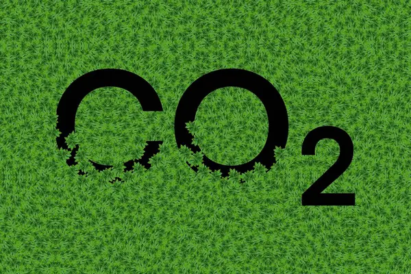 carbon dioxide and leaves and earth love concept, green leaves and carbon dioxide