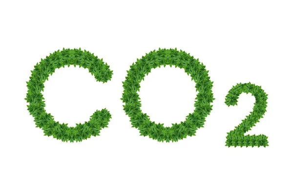 carbon dioxide and leaves and earth love concept, green leaves and carbon dioxide