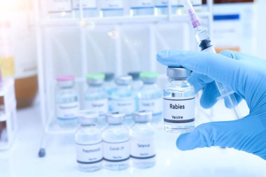 Kuduz aşısı bir şişede, aşılama ve enfeksiyon tedavisi, bilimsel deney