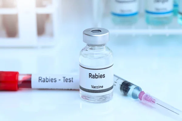 Vacina Rábica Frasco Para Injetáveis Imunização Tratamento Infecção Experimento Científico Imagem De Stock
