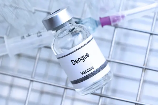 Dengue Impfstoff Einem Fläschchen Immunisierung Und Behandlung Von Infektionen Wissenschaftliches lizenzfreie Stockfotos