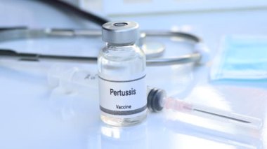 Şişede pertusis aşısı, enfeksiyonun aşılanması ve tedavisi, bilimsel deney