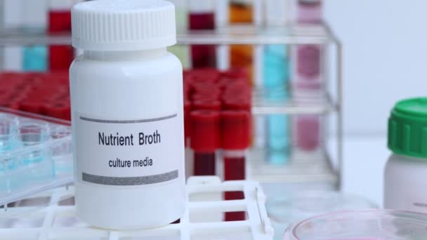 Caldo Nutrientes Medios Cultivo Botella Medios Cultivo Utilizados Experimentos Laboratorio — Vídeos de Stock