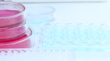 Şişedeki Kültür Medyası, laboratuvar, Bilimsel ve Tıbbi deneylerde kullanılan Kültür Medyası