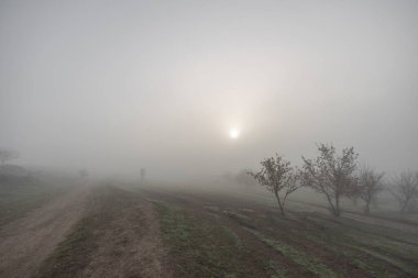 Kırsalda sisli bir sabah