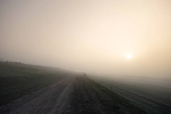 Campo Por Mañana Con Niebla Niebla — Foto de Stock