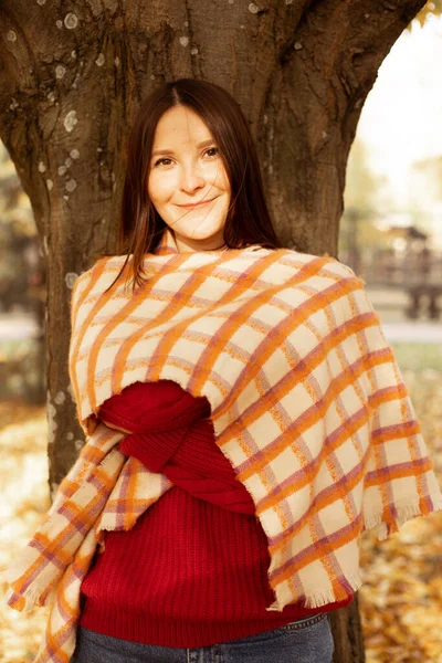 穿着舒适的红色针织毛衣 上面铺着格子温暖的毛毯和树干背景的快乐美女的女性画像 在阳光灿烂的日子里 年轻的女士在秋天的公园里散步 季节磨损 秋天自然 — 图库照片