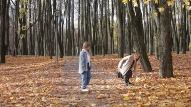 Güzel kızlar yol boyunca ilerler ve ormanda sarı akçaağaç yaprakları toplarlar. Mutlu genç bayanlar sonbahar parkında yürürler. Güzel doğa manzarası, yağmalama. En iyi arkadaşlar, yaşam tarzı..