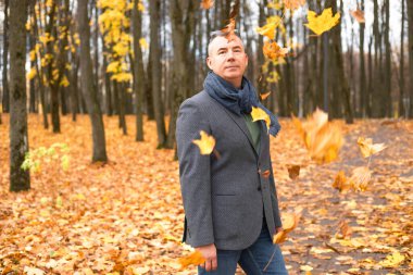 Portrait of aged handsome man walking in golden forest, bunch of dry yellow maple leaves falling down. Adult 50 years old man enjoy relaxing in autumn park. Beautiful fall nature, defoliation.