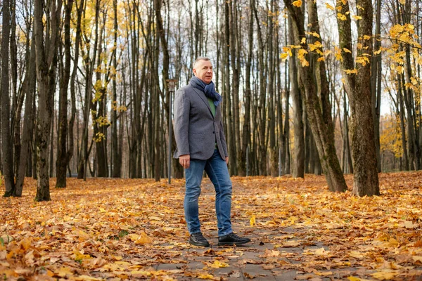 Full length photo of aged man walking along path in golden forest. Fallen dry yellow maple leaves everywhere. Adult 50 years old man enjoy relaxing in autumn park. Beautiful fall nature, defoliation.