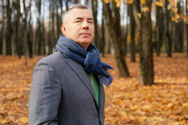 Confident, derisive, tranquil, trendy grizzled modern man in jacket and scarf stand in golden park and look at camera. Refreshment, digital detox and rest in woodland. Travelling and mindfulness