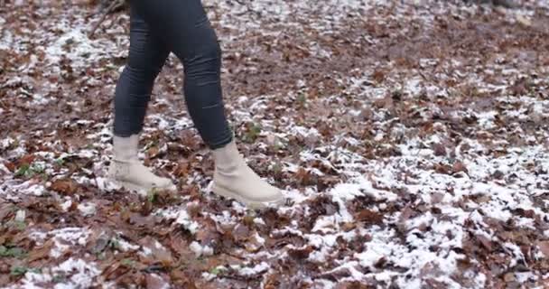 Woman Winter Forest Legs Person Tight Leather Pants Boots Walk — Vídeo de Stock