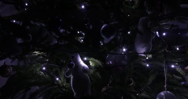 Close New Year Christmas Tree Decorated Blinking Flashing Lights Bulbs — Stok video