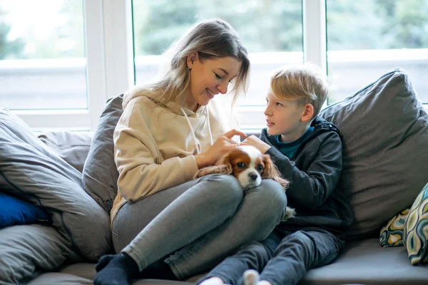Mother and school aged son sitting on sofa near window with little spaniel. Family portrait in cozy home. Cute puppy lying on female legs. Happy people talk and have fun. Domestic lifestyle.