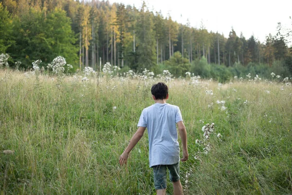 stock image Rearview of dark haired boy touching grass and flowers, plants while walking through field near forest outdoors. Travelling, rustic adventure and exploration in woodland. Summer vacation. Copy space