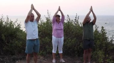 Üç yetişkin insanın jimnastik, fitness egzersizleri, yoga zen pozları, sabah deniz manzarasına karşı kollarını kaldırma videosu. Her yaş için sağlıklı yaşam tarzı ve aktivitesi, Sanatoryum yaşam tarzı 