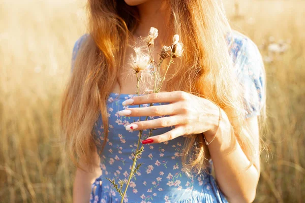 Mulher Gengibre Cortada Irreconhecível Vestido Segurando Flores Campo Com Mão — Fotografia de Stock