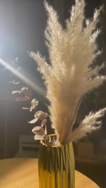 薄明かりの下でテーブルの上の花瓶の乾燥したファジィ耳の花束 装飾的なハーブビデオの背景 ベージュの耳の枝 美しい花の配置 スタイリッシュなインテリア装飾 家の装飾 — ストック動画