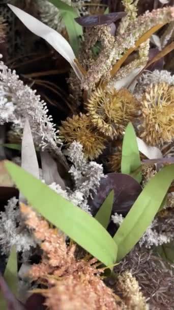 Bouquet Von Getrockneten Blumen Makro Ansicht Nahaufnahme Trockene Kräuter Video — Stockvideo