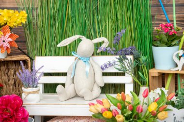 Paskalya tavşanı yeşil çimenlerin arka planında beyaz bankta oturuyor. Fotoğraf stüdyosundaki şenlikli bahar dekoru. Selamlar ve kartpostallar. Bahar fotoğraf çekimi. Şölen dekoru. Fotoğraf bölgelerinin tasarımı.