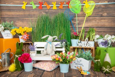 Selamlar ve kartpostallar. Bahar fotoğraf çekimi. Dekorasyonlar yeşil çimenler, laleler, tavşanlar. Müşteriler için fotoğraf stüdyosu baharda ışıl ışıl dekore edilir. Şölen dekorasyonu. Ahşap duvar. Parlak festival arkaplanı.